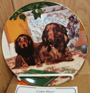 Dachshunds Danbury Mint Porcelain Collector Plate "Come Here" with COA - Picture 1 of 3