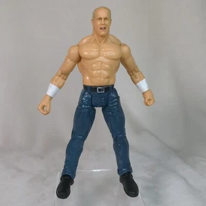 WWE Hardcore Bob Holly Titan Tron Live Backlash Series 4 Wrestling 2004 Jakks - Bild 1 von 8