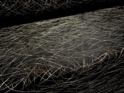 Taft Kunstseide Stoff, Meterware - Metallic Stickerei - Schwarz Silber & Gold - Bild 1 von 3