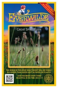 1000 Great Spike Rush Native Grass Seeds - Everwilde Farms Mylar Seed Packet - Picture 1 of 3