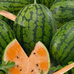 1/4 Lb Tendersweet Orange Watermelon Seeds - Everwilde Farms Mylar Seed Packet - Picture 1 of 2
