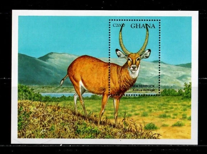 Ghana 1994 - Animals Waterbuck - Hoja de estampillas de recuerdo - Scott #1682 - MNH Foto 1 de 1