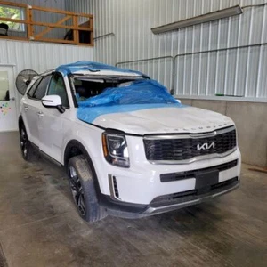 Passenger Right Rear Door Glass Privacy Fits 20 TELLURIDE 1014417 - Bild 1 von 12