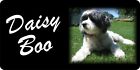 Personalized Tibetan Terrier Photo License Plate - LPO1418