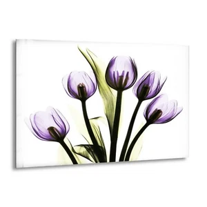 Arte de pared Albert Koetsier Xray cinco tulipanes en vidrio púrpura - Imagen 1 de 9