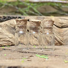 Lot de 3 bouteilles de potion transparentes miniatures maison de poupée jardin de fées Halloween vide