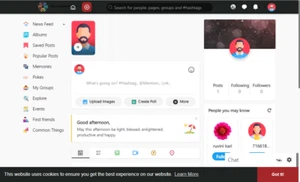 Sitio web de redes sociales adaptable multilingüe alojamiento gratuito / configuración completa - Imagen 1 de 4