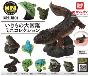 Neu Great Encyclopedia of Creatures Amphibian Mini Figur Sammlung - Bild 1 von 20