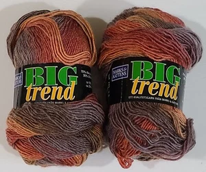 Marks and Kattens Big Trend Yarn Acrylic Wool Blend (Lot of 2 Skeins) Color #410 - Picture 1 of 9