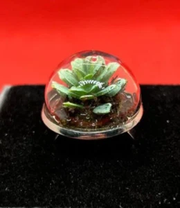 Unique TERRARIUM PLANT RING handmade GARDENING adjustable CUTE miniature GIFT - Picture 1 of 2