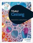 Cbac Tgau Cemeg (wjec Gcse Chemistry Welsh-language Edition) by Adrian Schmit (W