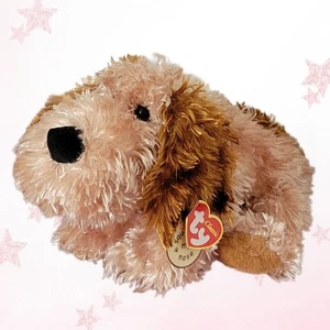 ⭐️ FIDDLE ⭐️  2005 TY Classic Collection DOG (His Nose Squeaks!) - MWMT'S - Picture 1 of 6