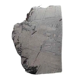 60.2g Gibbon Iron Meteorite SLICE Collectable and Processable -TC542 - Picture 1 of 5