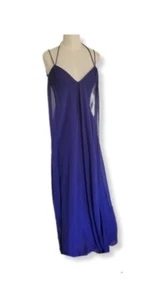 BCBG Maxazria Dress Blue 100% Silk Chiffon Maxi Gown Sleeveless Lined Size 4 - Picture 1 of 18