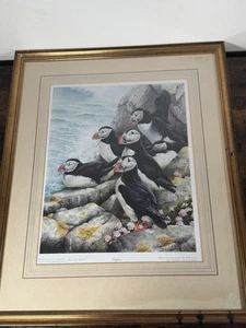 Limitierte Auflage Terence Lambert Druck von Papageientaucher am Klippenrand 22 x 26 gerahmt - Bild 1 von 11