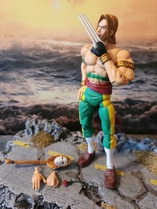 Sota Street Fighter Vega Green Variant - Picture 1 of 6