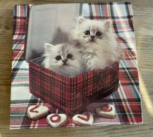 Rompecabezas vintage 1978 LOVE Kitten Valentine más de 500 piezas completo Eaton - Imagen 1 de 9