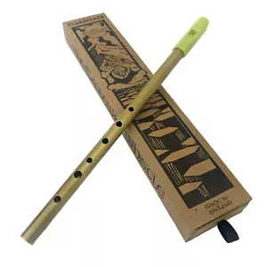 More details for the dannan causeway brass tin whistle in the key of d - lime green model