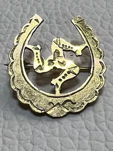 ANTIQUE TRISKELION IN HORSESHOE (Isle of Man) GOLD PLATE/BRASS BROOCH BADGE pin - Foto 1 di 5
