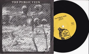 The Public Vein -Carry On- 7" 45 Sweden, (3-Songs) Garageland Records (BF 607) - Foto 1 di 1