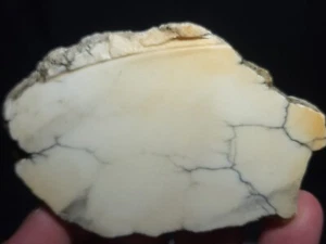 Spiderweb Howlite rough slab from Tick Canyon, CA 3.5"x2.25"x1/4" (2.5 oz.) - Picture 1 of 4