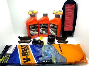 KIT TAGLIANDO HONDA SILVER WING 600 OLIO FILTRI PASTIGLIE CINGHIA RULLI CANDELE - Foto 1 di 1