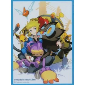 Pokemon Center Volkner 2017 Card Individual Sleeve Protector X 1 NEW