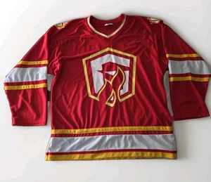 MAGLIA PROMO GWINNETT GLADIATORS BOSTON BRUINS ADULTO XL Red Kroger ECHL NUOVA SENZA ETICHETTE - Foto 1 di 15