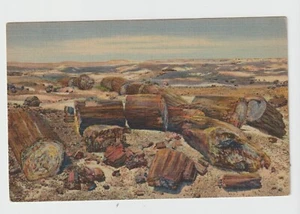 Linen Post Card 1940s Petrified Forest, Arizona, Unused, P. F. 43 - Picture 1 of 2