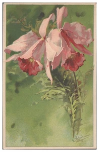 XX1062/ Catharina Klein schöne Litho AK Blumen ca.1912 - Picture 1 of 2