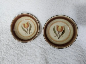 (Lot of 2) Premiere Canyon Kraft Bowl Stoneware Japan Bali Brown Floral 6.5" - Picture 1 of 10