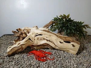 Driftwood acquario pesci e rettili 7x16" decorazione formazione naturale - Foto 1 di 8