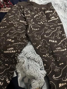 Cool Dinosaur Print Sweatpants for Boys - Comfortable and Fun - Picture 1 of 3