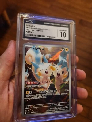 CGC 10 GEM MINT Pachirisu AR 084/078 Pokémon sv1v Scarlet Violet ex Japanese - Image 1 of 3
