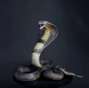 7.87In Exquisite Solid Bronze Cobra Statue, Crafts Art Collectible Decor, Medium - Imagen 1 de 12