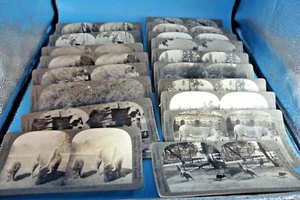 STEREOVIEW FOTOS VERSCH. TIERE 18 VERSCHIEDENE KARTEN - Bild 1 von 2