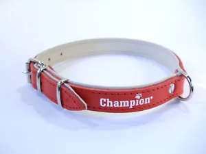 More details for   strong champion  hand crafted leather top &amp; bottom dog puppy collar