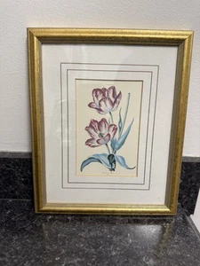 Vintage Fridericus Rex TULIPA XVII Kunstdruck gerahmt & mattiert Platte 100 - Bild 1 von 6