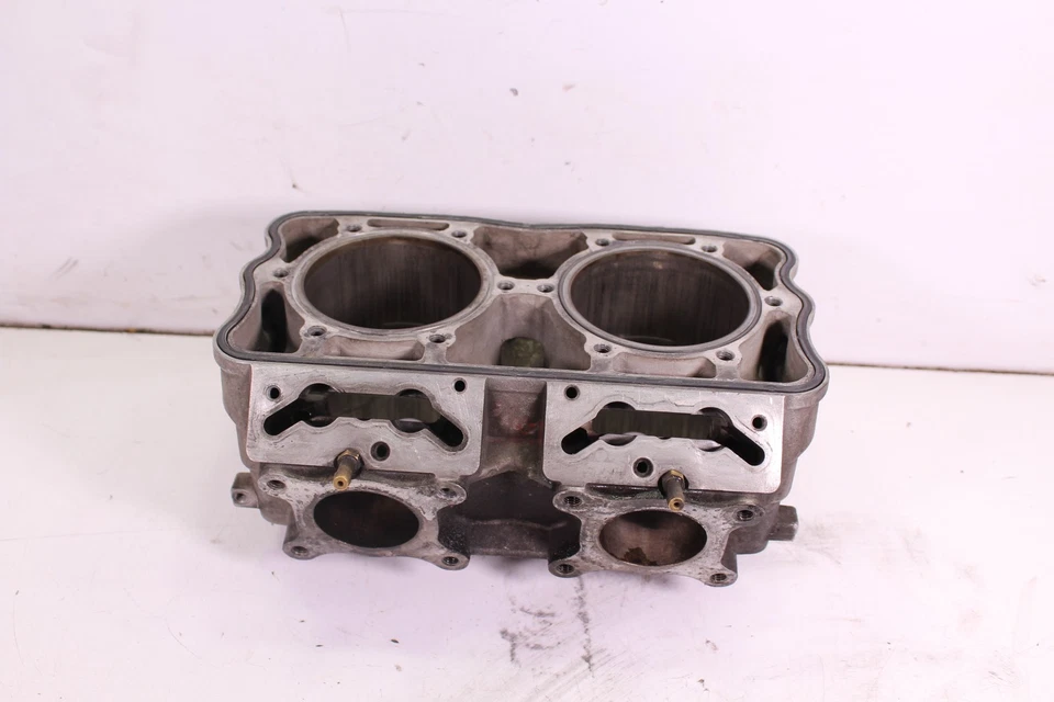 2018 POLARIS PRO RMK 800 AXYS CILINDROS 3022828 -- NÚCLEO -- - Imagem 1 de 4