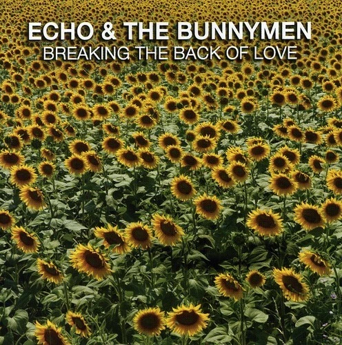 Breaking the Back of Love by Echo & Bunnymen (CD, 2008)