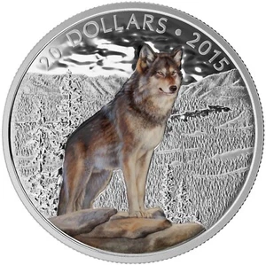 Kanada 2015 Imposanter Alpha Wolf 20 $ reines 1 Oz farbiges Silber PP Münze perfekt - Bild 1 von 3