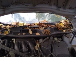 Wiper Transmission Fits 05-12 AVALON 3761169 - Bild 1 von 4