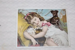 ANTIGUA TARJETA COMERCIAL "EMULSIÓN DE SCOTT" FOTO 1887 LaNICHEE (EL NIDO) - Imagen 1 de 5