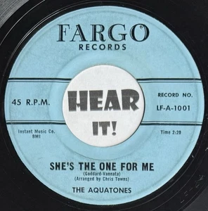 Wild Group Rocker Jiver 45 THE AQUATONES She’s The One For Me / You FARGO hear - Bild 1 von 2