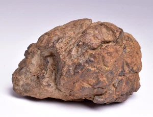 WOLF CREEK SHALE BALL METEORITE MT138 - Foto 1 di 7