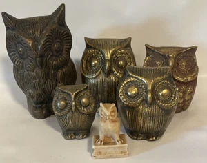 Brass Owl Lot of 6 Mid Century Figures Collectibles Paperweight Vintage - Picture 1 of 5