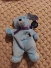 Planet Plush "Windy" The Chicago Bear By Sally Winey 1998 Blue Beanie #32226