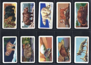 BROOKE BOND (CANADA) - ANIMALS OF NORTH AMERICA (ROLAND 47MM) - SET OF 48 CARDS - Picture 1 of 10