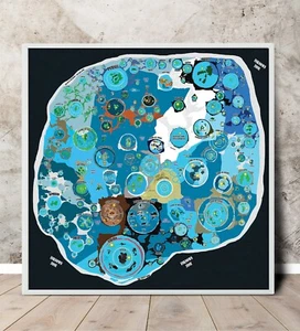 Flat Earth Map Terra Infinita Realm Poster Lands Beyond The Ice Wall Art Print - Picture 1 of 21