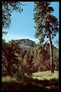 Postcard Mount Livermore View from Texas Mountain Trail, Alpine, TX - Picture 1 of 2